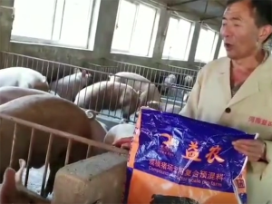 我為益農(nóng)暴長王代言